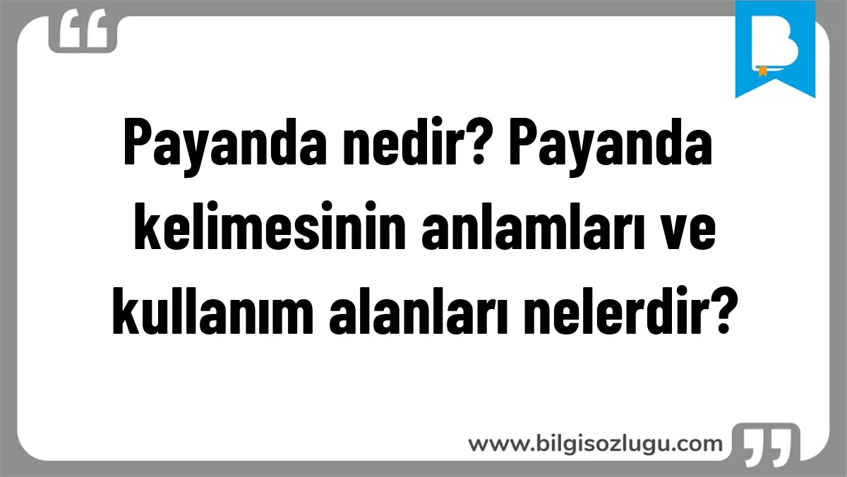 Payanda nedir? Payanda kelimesinin anlamları ve kullanım alanları nelerdir?
