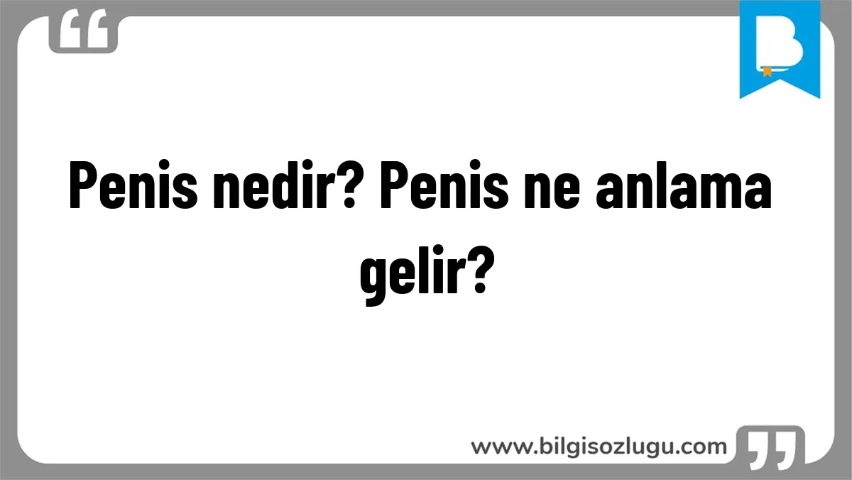 Penis nedir? Penis ne anlama gelir?