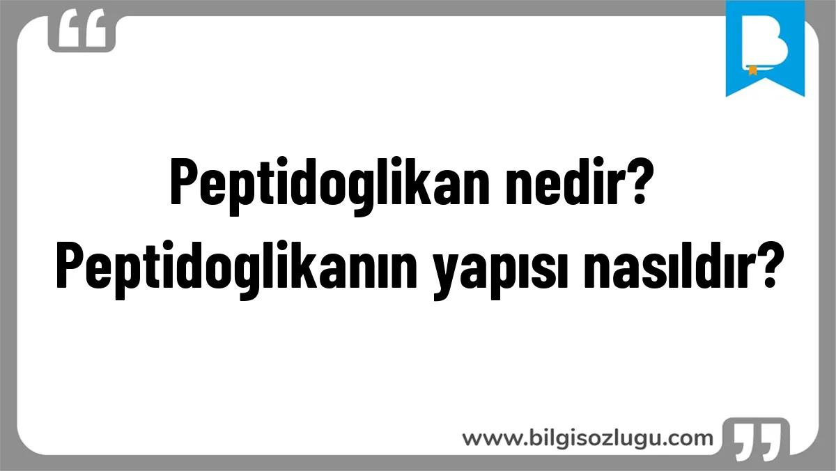 Peptidoglikan nedir? Peptidoglikanın yapısı nasıldır?