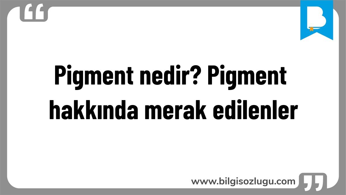 Pigment nedir? Pigment hakkında merak edilenler