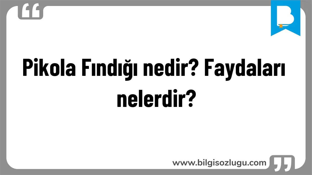 Pikola Fındığı nedir? Faydaları nelerdir?