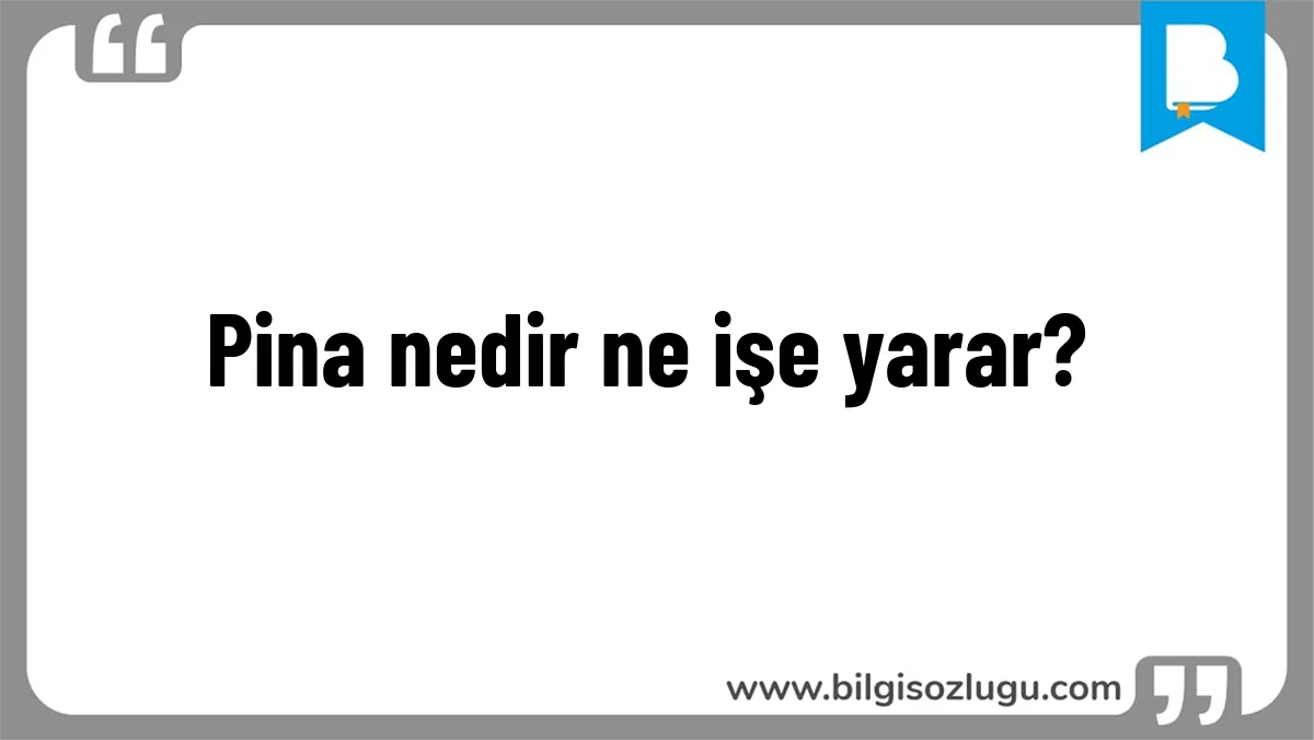 Pina nedir ne işe yarar?