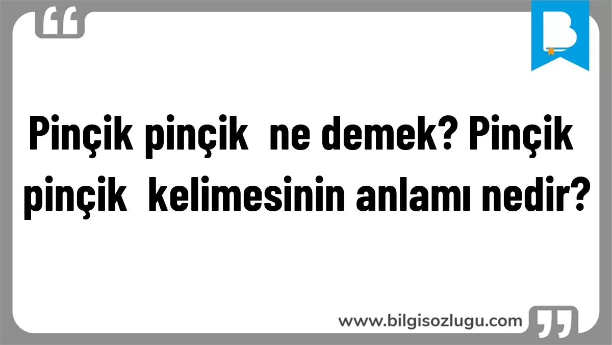 Pinçik pinçik ne demek? Pinçik pinçik kelimesinin anlamı nedir?