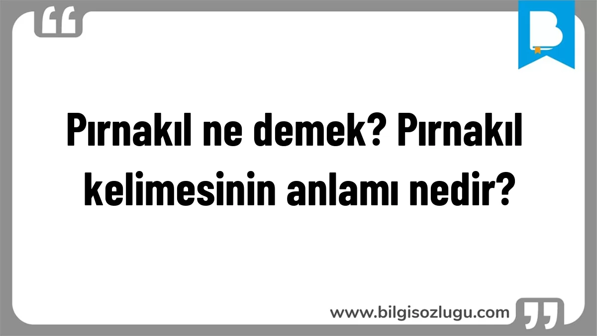 Pırnakıl ne demek? Pırnakıl kelimesinin anlamı nedir?