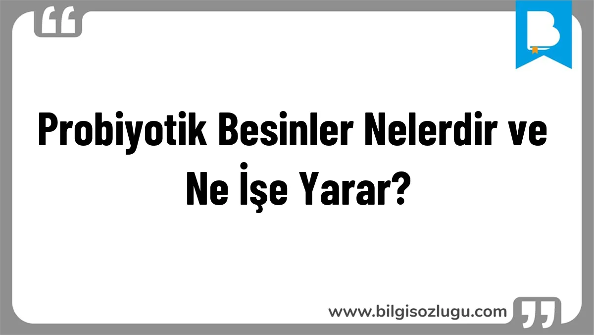 Probiyotik Besinler Nelerdir ve Ne İşe Yarar?