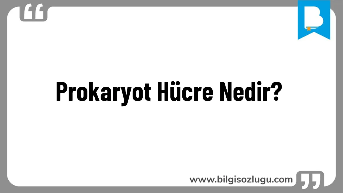 Prokaryot Hücre Nedir?