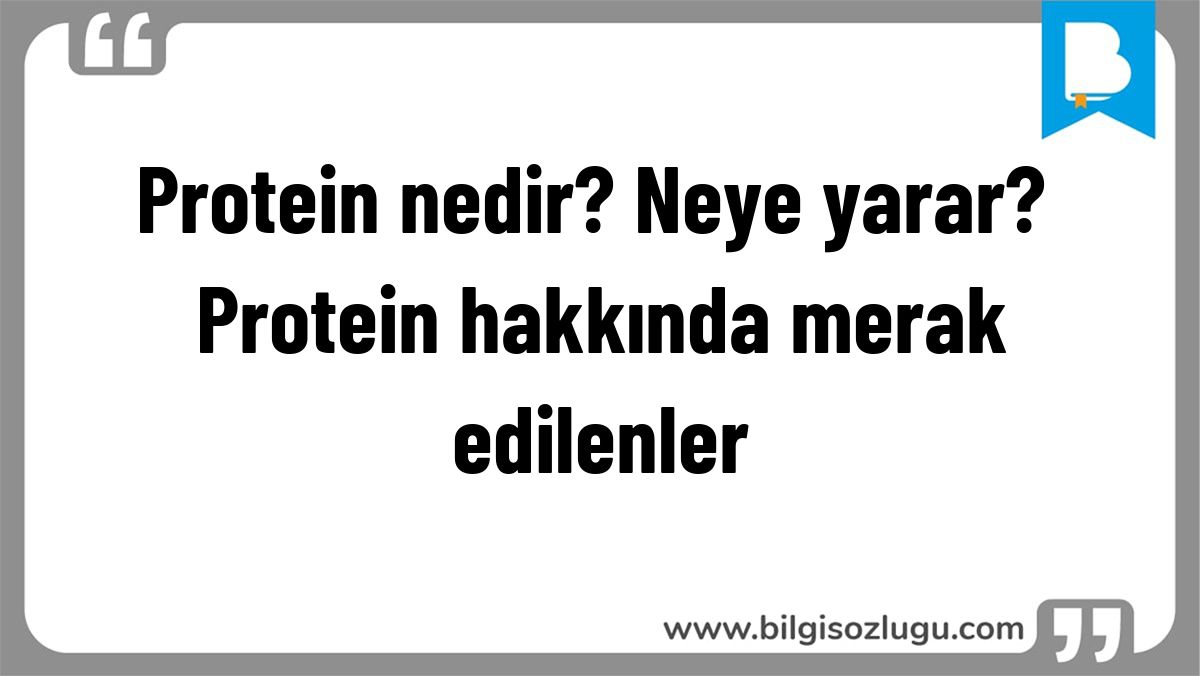 Protein nedir? Neye yarar? Protein hakkında merak edilenler