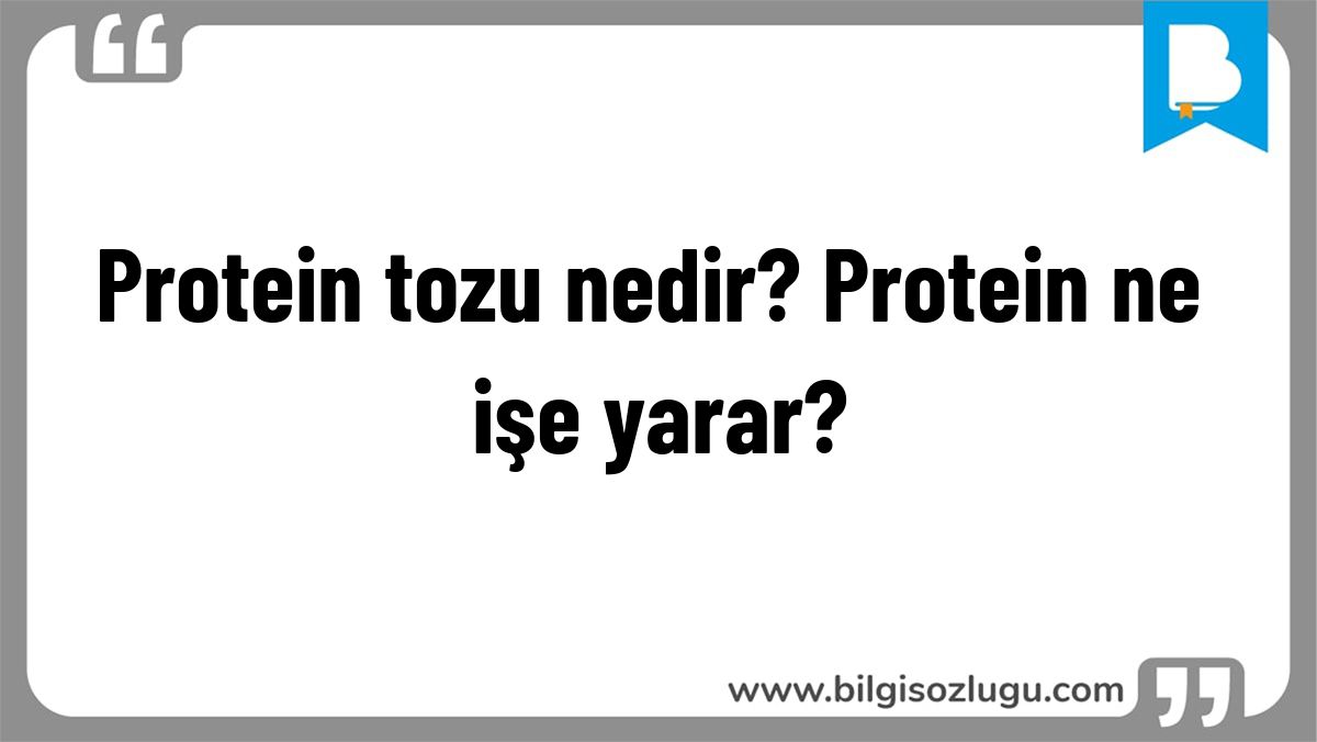 Protein tozu nedir? Protein ne işe yarar?