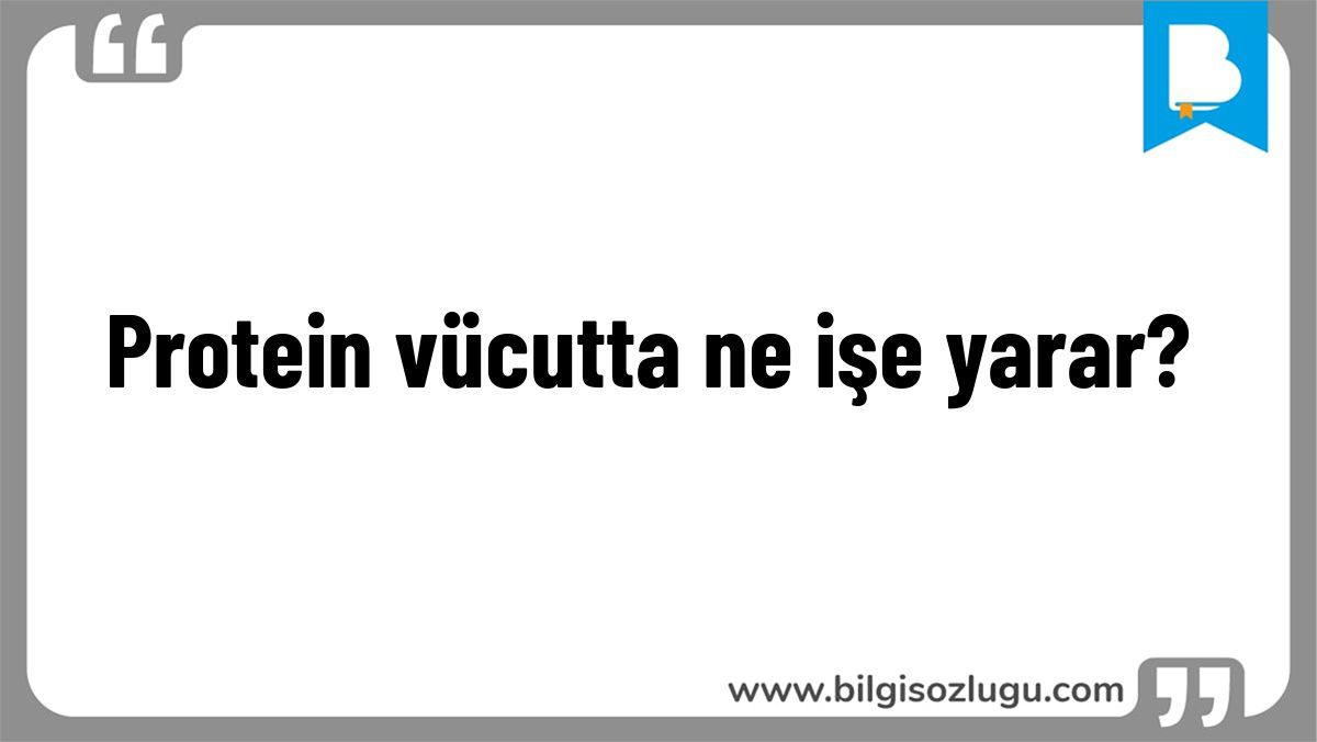 Protein vücutta ne işe yarar?