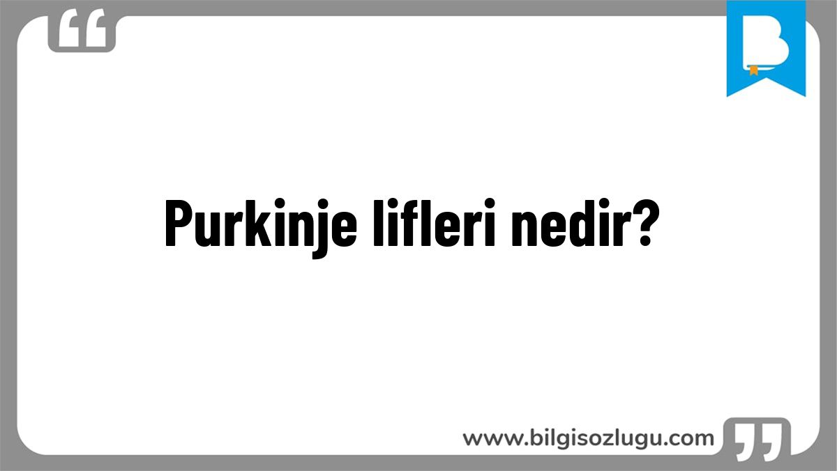 Purkinje lifleri nedir?
