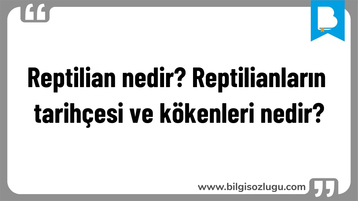 Reptilian nedir? Reptilianların tarihçesi ve kökenleri nedir?