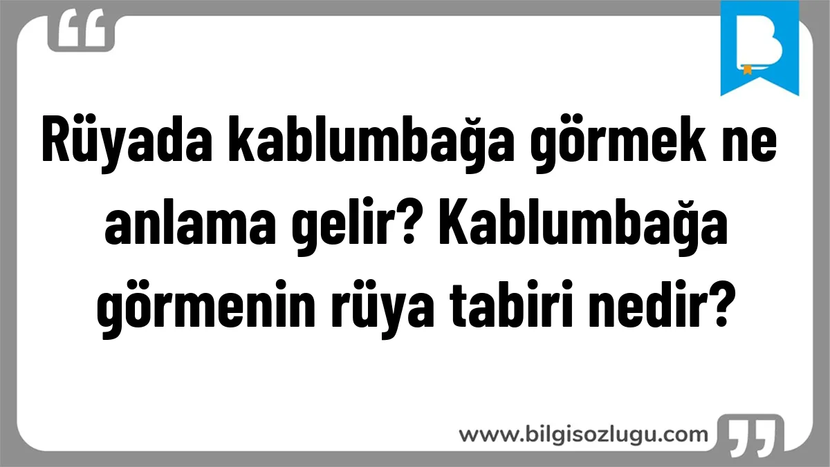 Rüyada kablumbağa görmek ne anlama gelir? Kablumbağa görmenin rüya tabiri nedir?