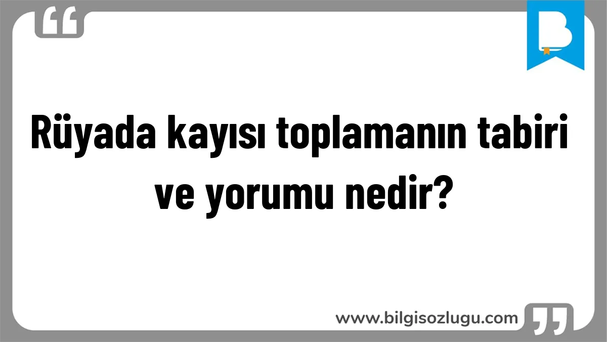 Rüyada kayısı toplamanın tabiri ve yorumu nedir?