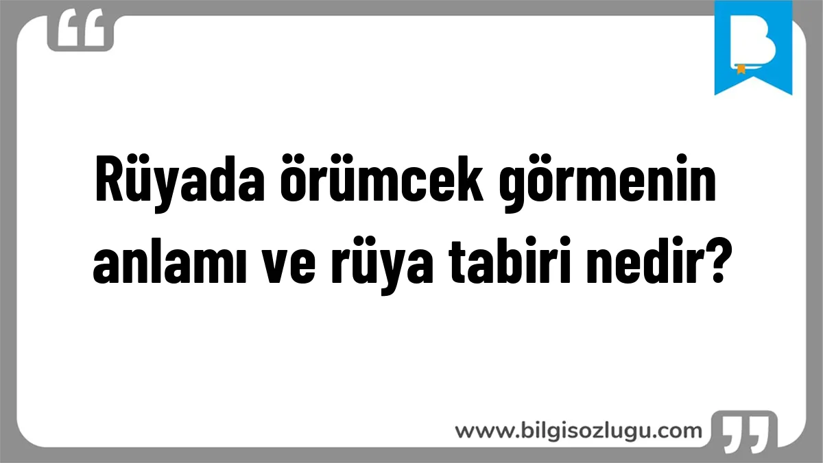 Rüyada örümcek görmenin anlamı ve rüya tabiri nedir?
