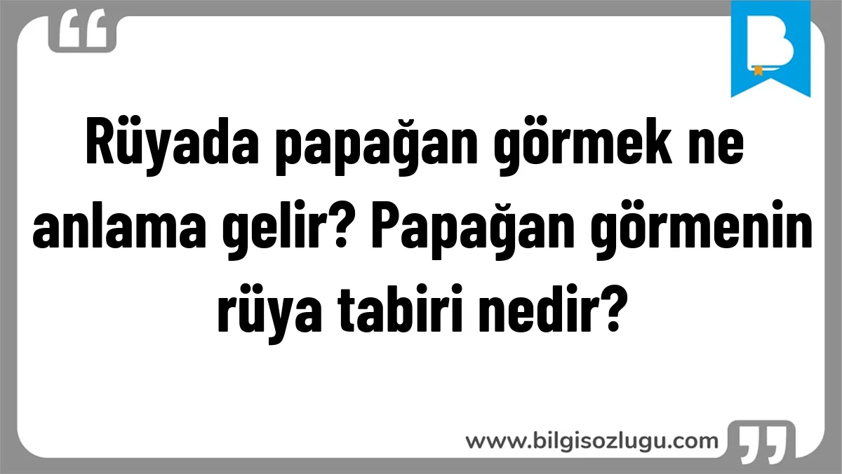 Rüyada papağan görmek ne anlama gelir? Papağan görmenin rüya tabiri nedir?