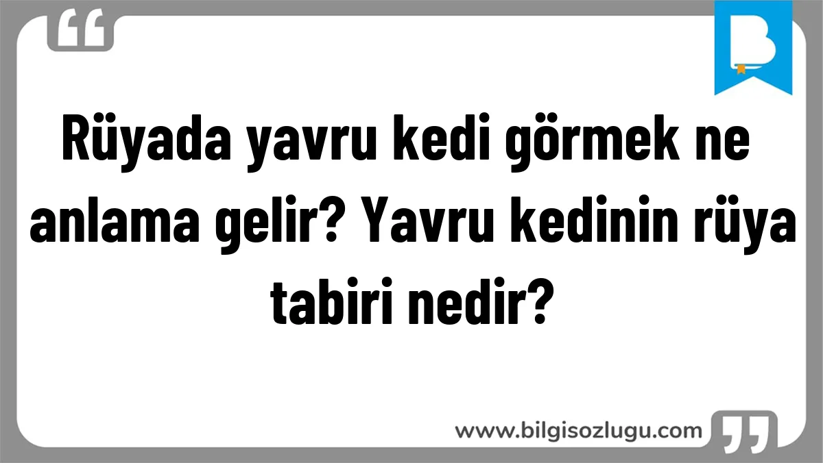 Rüyada yavru kedi görmek ne anlama gelir? Yavru kedinin rüya tabiri nedir?