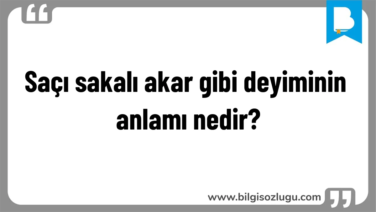 Saçı sakalı akar gibi deyiminin anlamı nedir?