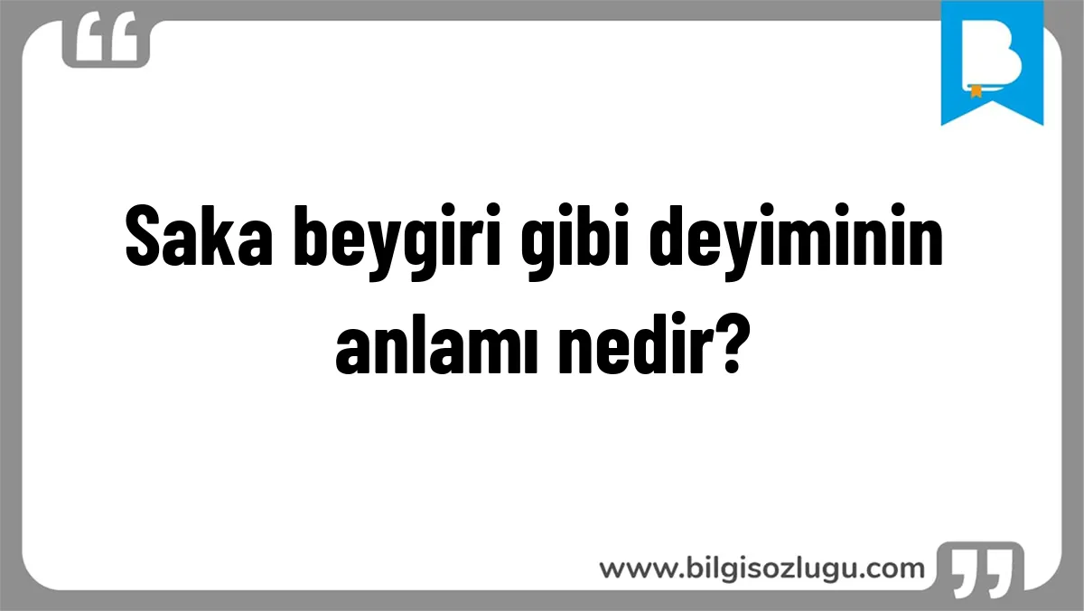 Saka beygiri gibi deyiminin anlamı nedir?