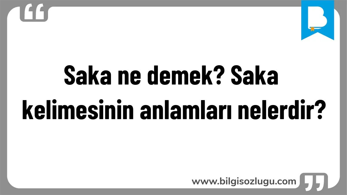 Saka ne demek? Saka kelimesinin anlamları nelerdir?