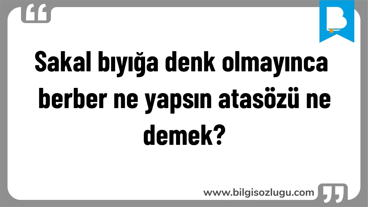 Sakal bıyığa denk olmayınca berber ne yapsın atasözü ne demek?