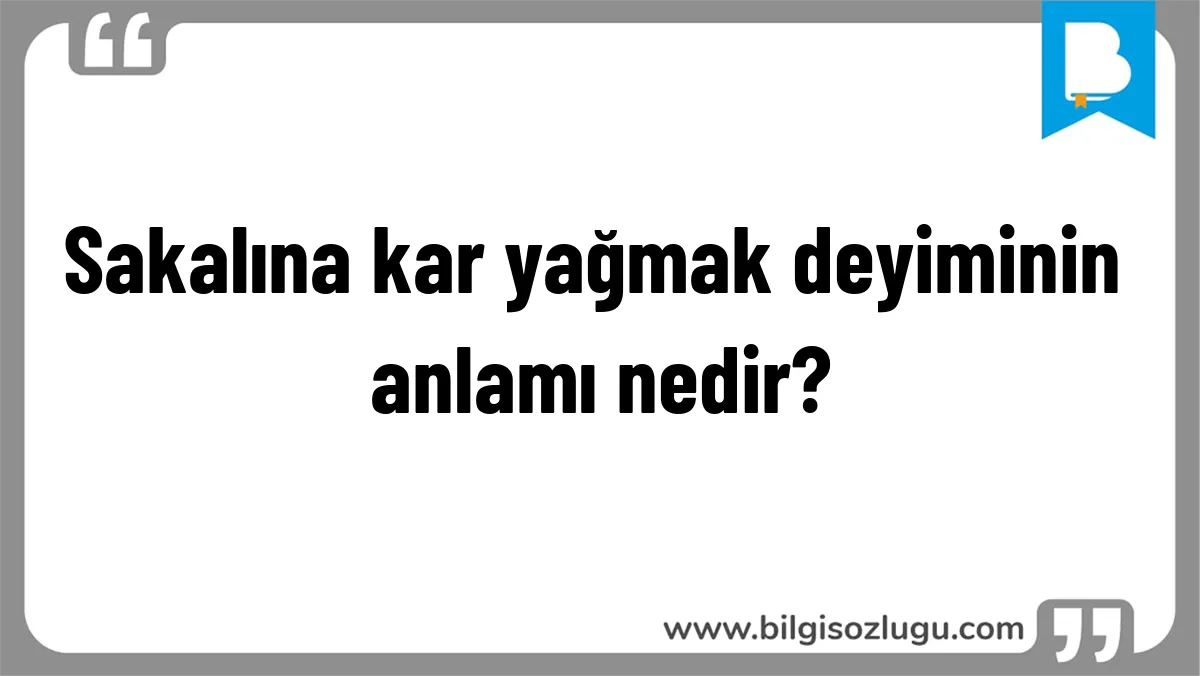 Sakalına kar yağmak deyiminin anlamı nedir?
