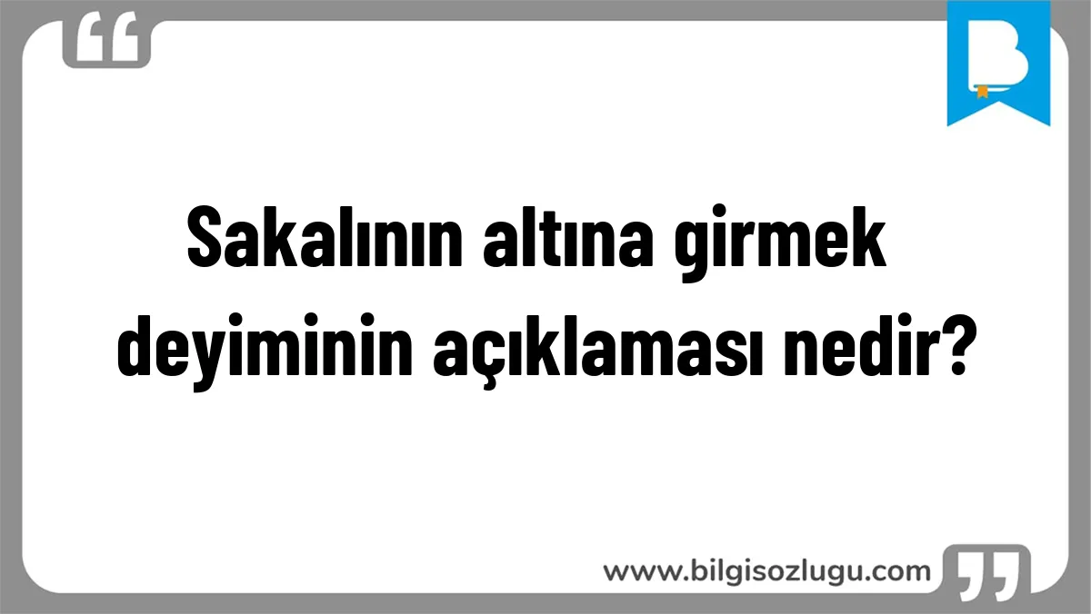 Sakalının altına girmek deyiminin açıklaması nedir?