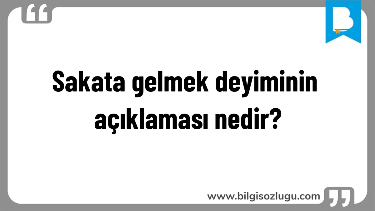 Sakata gelmek deyiminin açıklaması nedir?