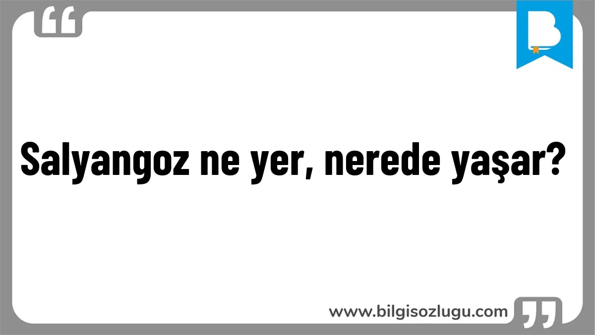 Salyangoz ne yer, nerede yaşar?