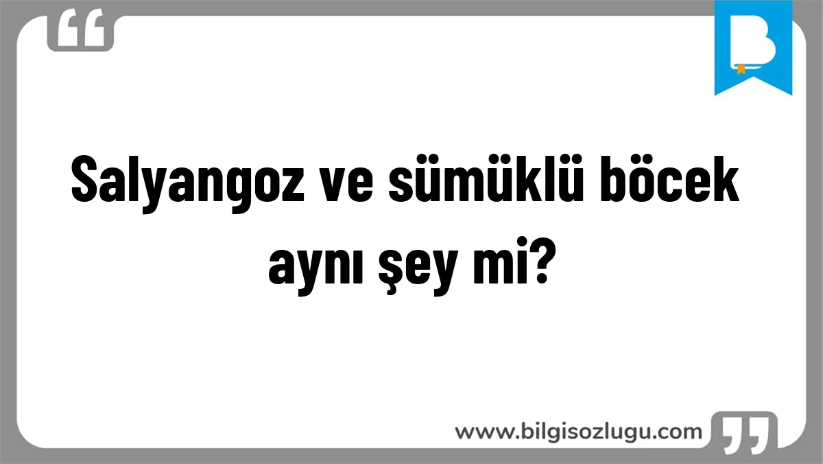 Salyangoz ve sümüklü böcek aynı şey mi?
