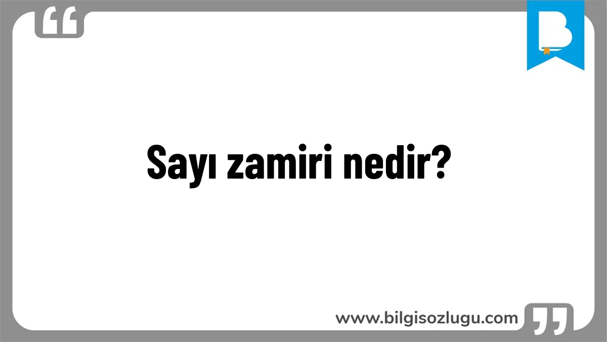 Sayı zamiri nedir?