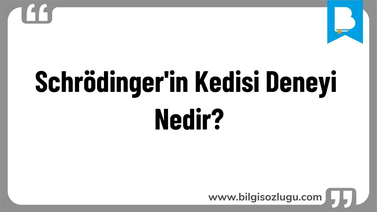Schrödinger'in Kedisi Deneyi Nedir?