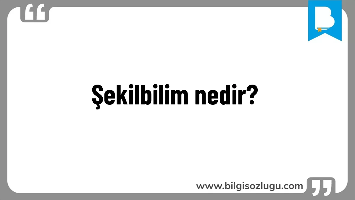 Şekilbilim nedir?