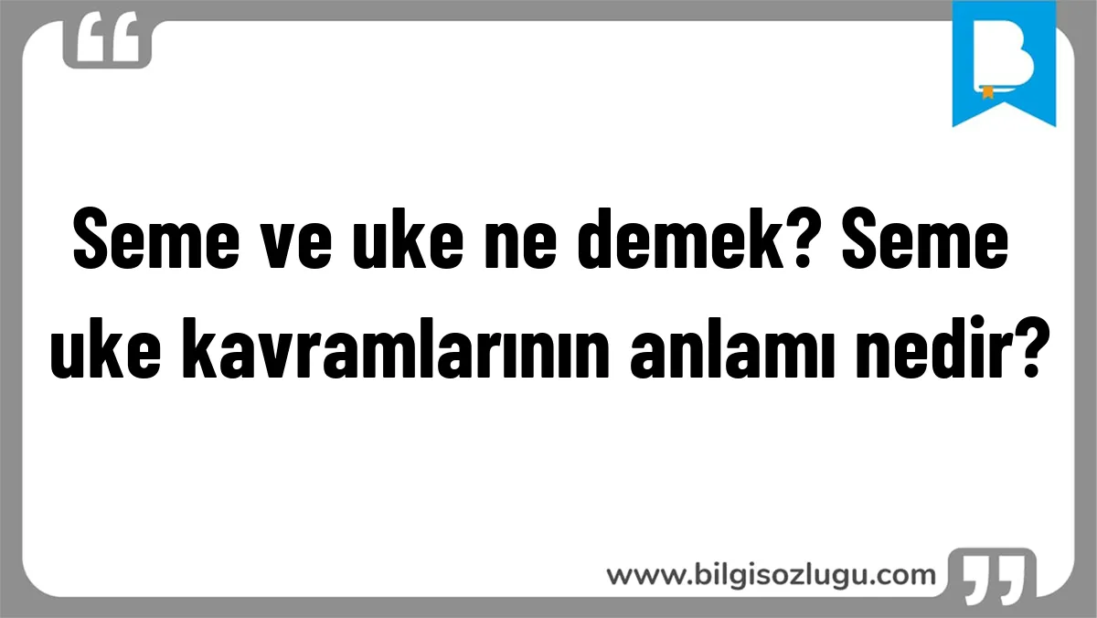 Seme ve uke ne demek? Seme uke kavramlarının anlamı nedir?