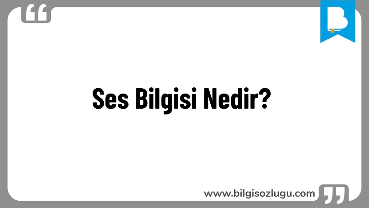 Ses Bilgisi Nedir?