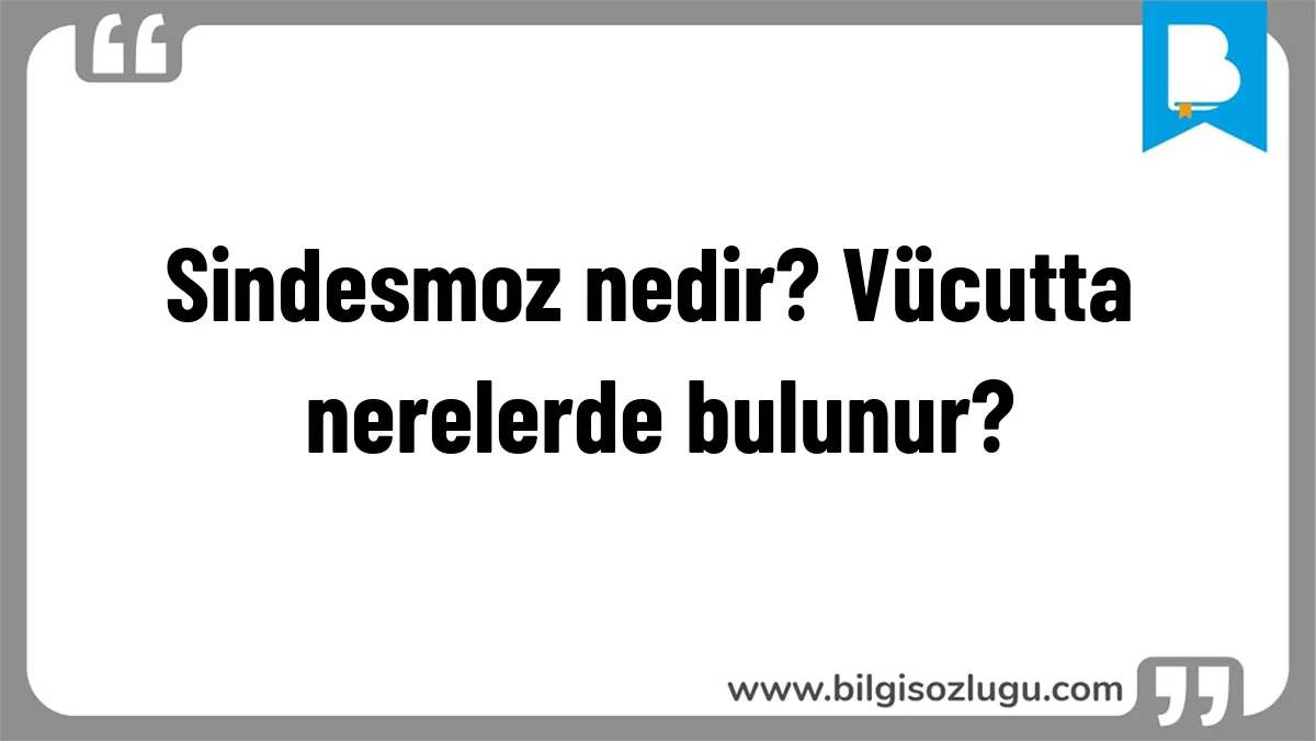 Sindesmoz nedir? Vücutta nerelerde bulunur?