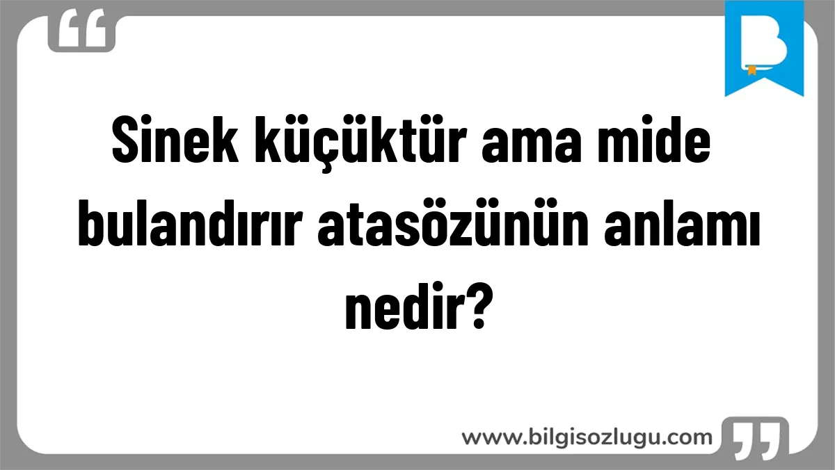 Sinek küçüktür ama mide bulandırır atasözünün anlamı nedir?