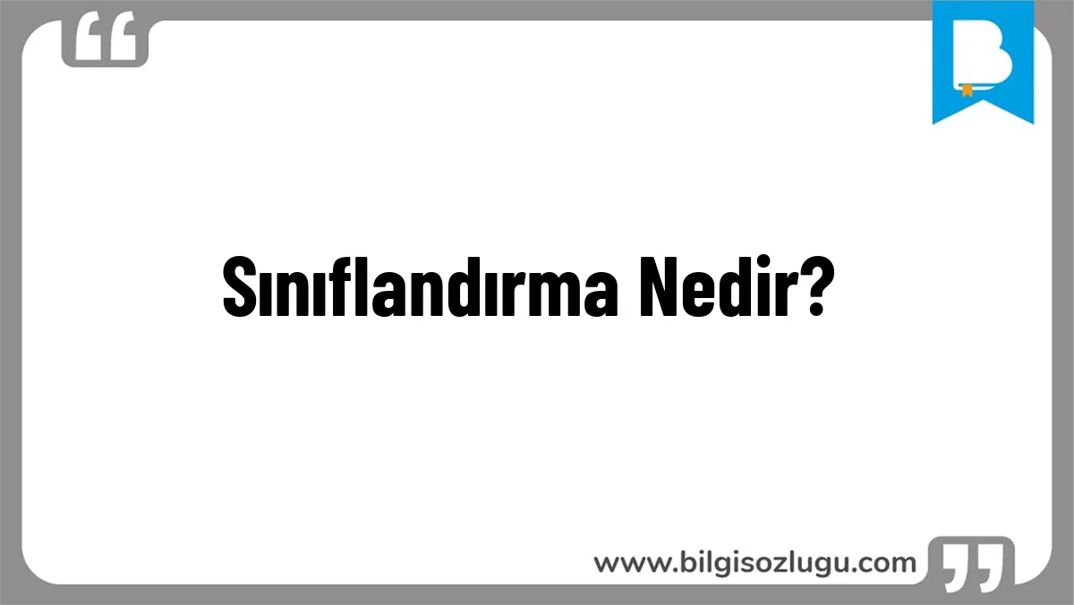 Sınıflandırma Nedir?