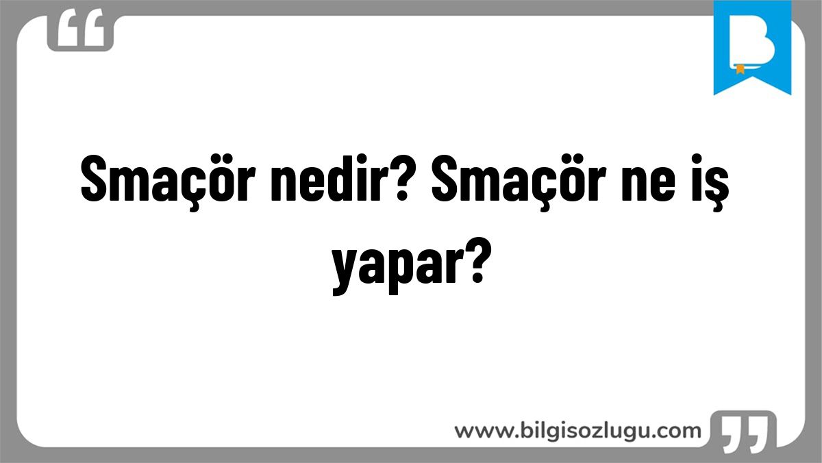 Smaçör nedir? Smaçör ne iş yapar?