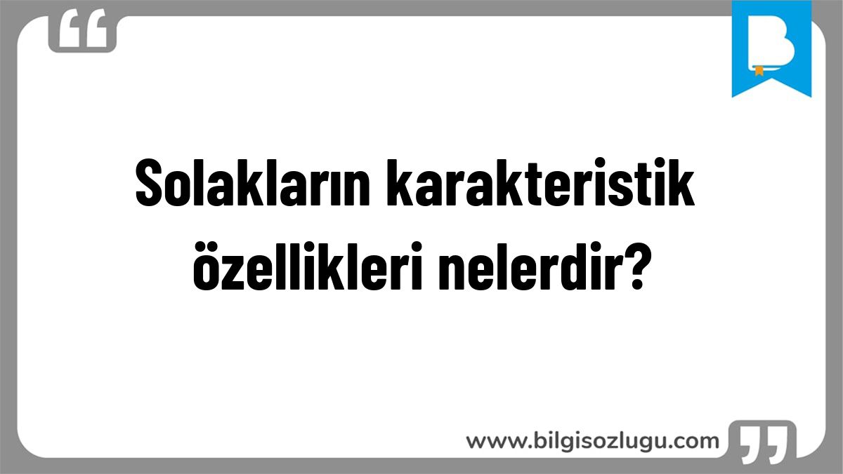 Solakların karakteristik özellikleri nelerdir?