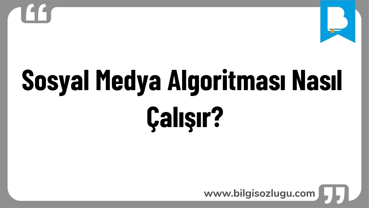 Sosyal Medya Algoritması Nasıl Çalışır?