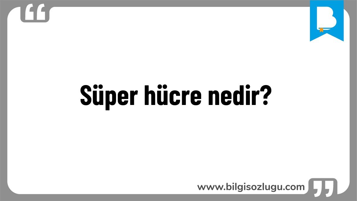 Süper hücre nedir?