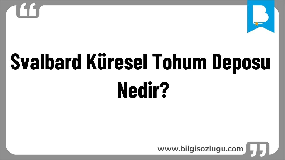 Svalbard Küresel Tohum Deposu Nedir?