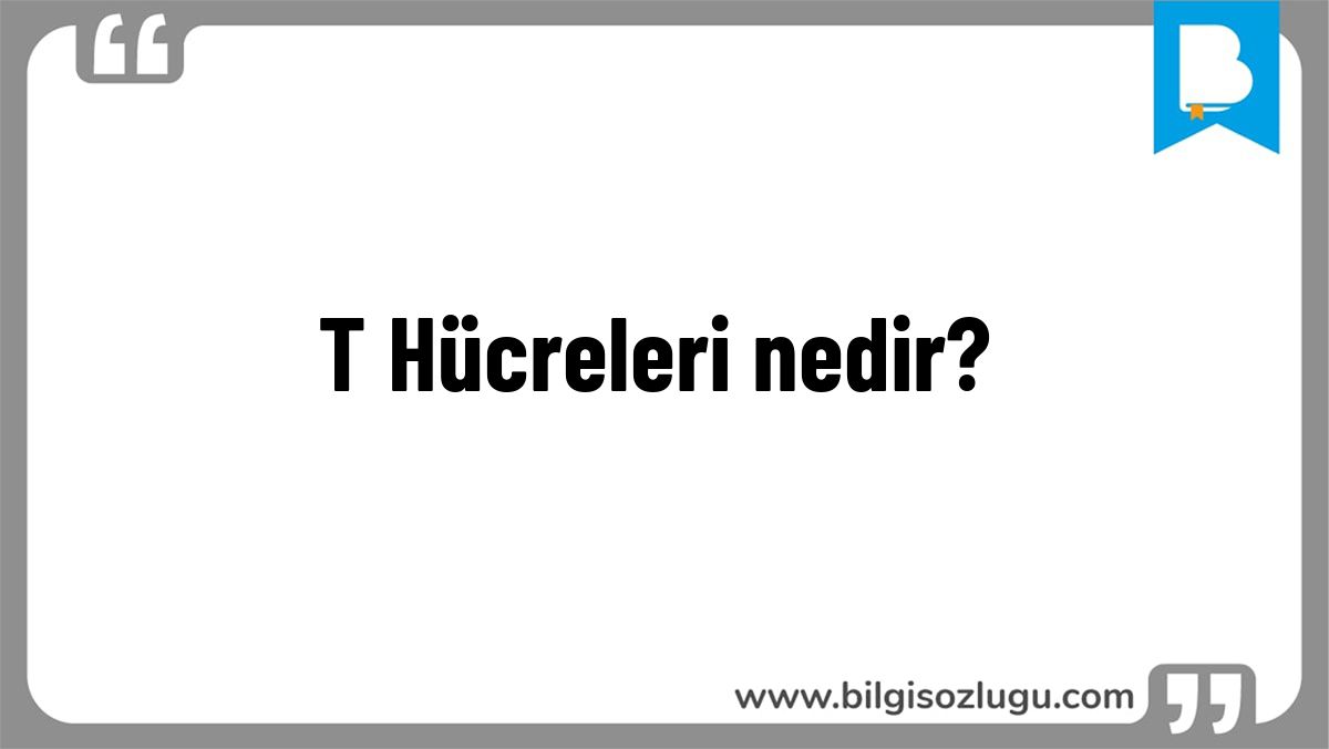 T Hücreleri nedir?