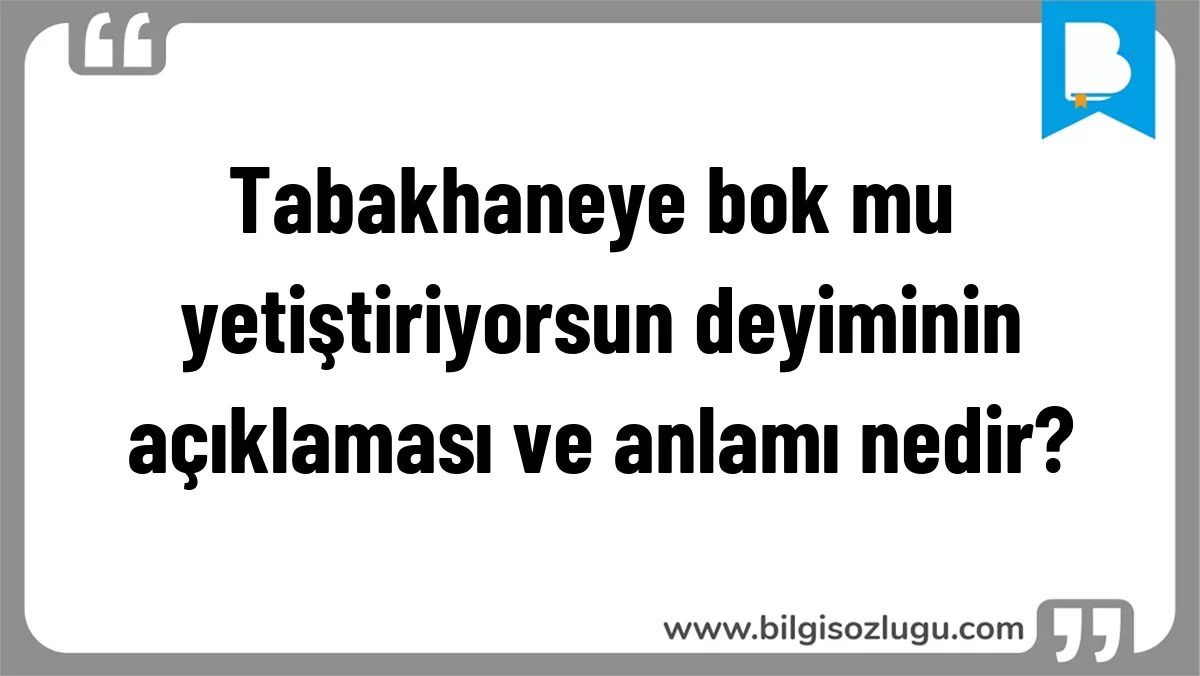 Tabakhaneye bok mu yetiştiriyorsun deyiminin açıklaması ve anlamı nedir?