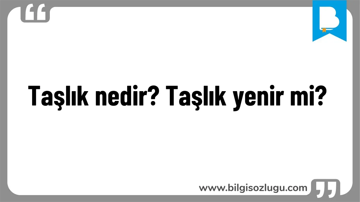 Taşlık nedir? Taşlık yenir mi?
