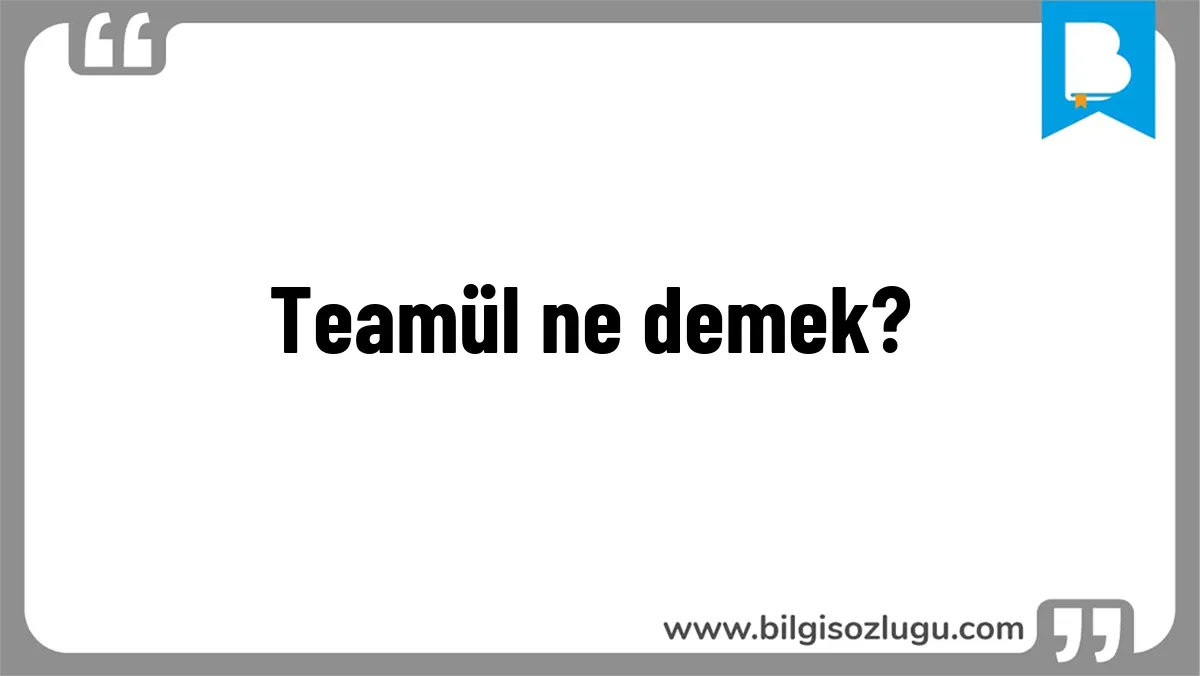 Teamül ne demek?