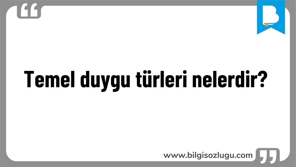 Temel duygu türleri nelerdir?