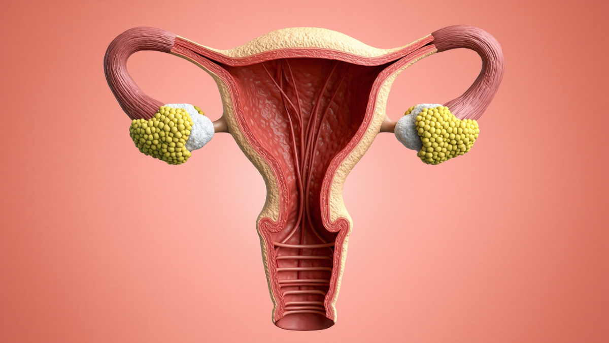 Vajinanın anatomik yapısı nasıldır?