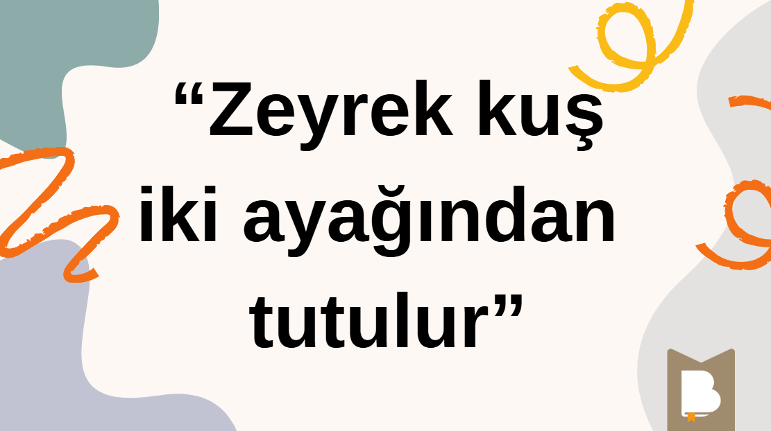 Zeyrek kuş iki ayağından tutulur ne demek? Zeyrek kuş iki ayağından tutulur atasözünün anlamı nedir?