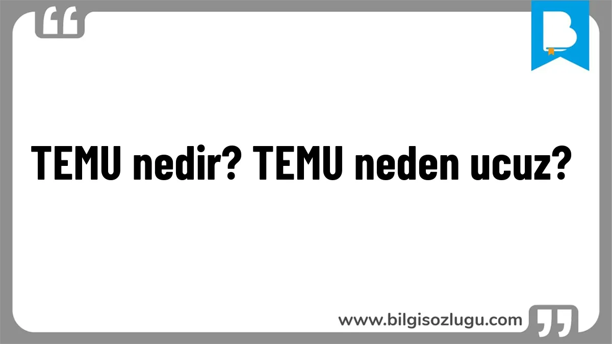 TEMU nedir? TEMU neden ucuz?
